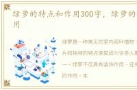 绿萝的特点和作用300字，绿萝的特点和作用