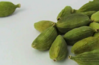 小豆蔻的5种健康益处增强您的健康