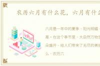 农历六月有什么花，六月有什么花