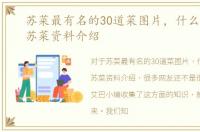 苏菜最有名的30道菜图片，什么是苏菜，苏菜资料介绍