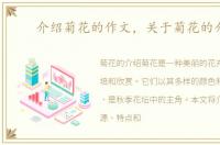 介绍菊花的作文，关于菊花的介绍