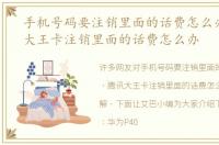 手机号码要注销里面的话费怎么办，腾讯大王卡注销里面的话费怎么办