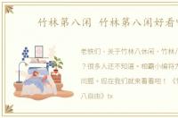 竹林第八闲 竹林第八闲好看吗