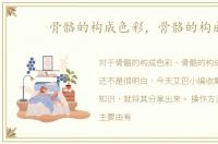 骨骼的构成色彩，骨骼的构成