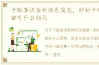 千眼菩提各种颜色寓意，解析千眼菩提子都有什么颜色