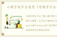 小嫂子是什么意思（有嫂子什么意思）