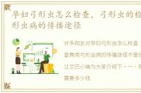 孕妇弓形虫怎么检查，弓形虫的检查费用弓形虫病的传播途径