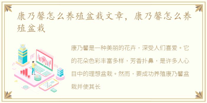 康乃馨怎么养殖盆栽文章，康乃馨怎么养殖盆栽