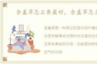 含羞草怎么养最好，含羞草怎么养