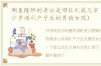 明星陈燃的老公是哪位到底几岁（陈燃多少岁顺利产子生的男孩女孩）