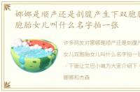 娜娜是顺产还是剖腹产生下双胞胎女儿双胞胎女儿叫什么名字拍一张