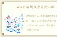 wps页脚横线老是删不掉