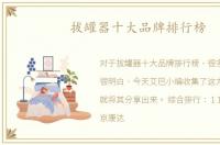拔罐器十大品牌排行榜