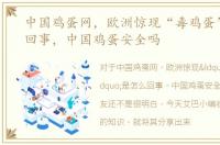 中国鸡蛋网，欧洲惊现“毒鸡蛋”是怎么回事，中国鸡蛋安全吗
