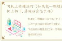 飞机上的螺丝钉（如果把一颗螺丝钉从飞机上扔下,落地后会怎么样）