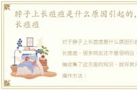 脖子上长痘痘是什么原因引起的，脖子上长痘痘