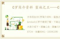C罗简介资料 蛮族之王——C罗