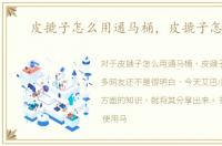 皮搋子怎么用通马桶，皮搋子怎么用