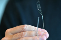 Synchron的BCI植入物可以帮助瘫痪患者重新与世界联系