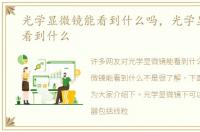 光学显微镜能看到什么吗，光学显微镜能看到什么