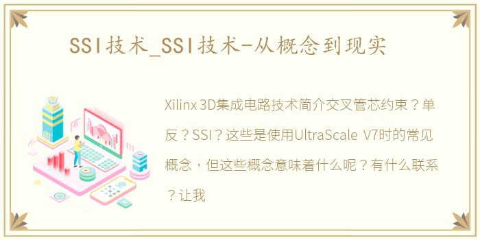 SSI技术_SSI技术-从概念到现实
