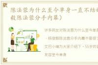 陈法蓉为什么至今单身一直不结婚（杨俊毅陈法蓉分手内幕）