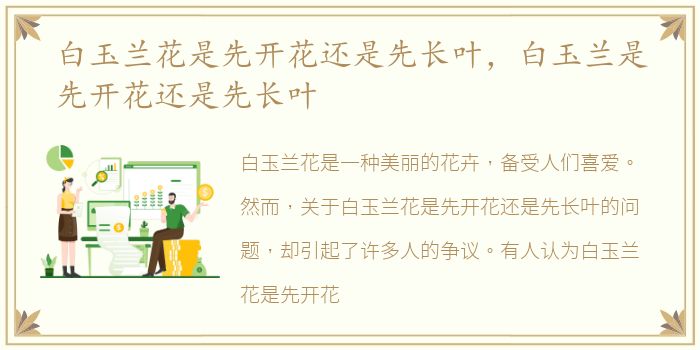 白玉兰花是先开花还是先长叶，白玉兰是先开花还是先长叶