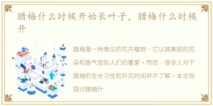 腊梅什么时候开始长叶子，腊梅什么时候开