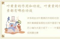 叶黄素的作用和功效，叶黄素的作用叶黄素都有哪些功效