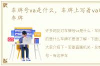 车牌号va是什么，车牌上写着va的是什么车牌