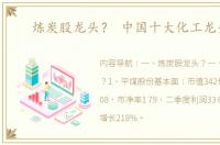 炼炭股龙头？ 中国十大化工龙头股
