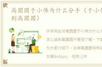 高圆圆于小伟为什么分手（于小伟怎么追到高圆圆）