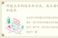 种植玉米的技术和方法，南瓜苗种植方法和技术