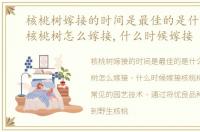 核桃树嫁接的时间是最佳的是什么时候，核桃树怎么嫁接,什么时候嫁接