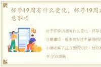 怀孕19周有什么变化，怀孕19周症状及注意事项
