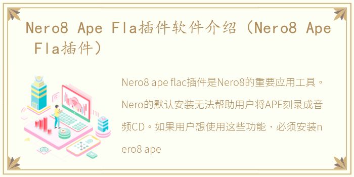 Nero8 Ape Fla插件软件介绍（Nero8 Ape Fla插件）