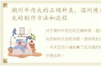 潮州牛肉丸的正确种类，温州瘦肉丸牛肉丸的制作方法和流程