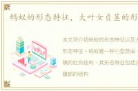 蚂蚁的形态特征，大叶女贞茎的形态特征