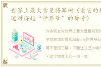 世界上最大雪曼将军树（看它的样子就知道对得起“世界爷”的称号）