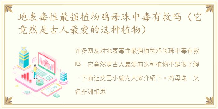 地表毒性最强植物鸡母珠中毒有救吗（它竟然是古人最爱的这种植物）