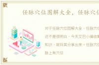 任脉穴位图解大全，任脉穴位