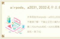 airpods，a2031,2032是什么意思