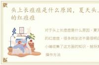 头上长痘痘是什么原因，夏天头上有很多的红痘痘