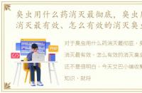 臭虫用什么药消灭最彻底，臭虫用什么药消灭最有效、怎么有效的消灭臭虫