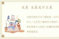 灰菜 灰菜是什么菜