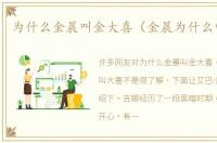 为什么金晨叫金大喜（金晨为什么叫大喜）
