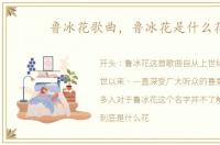 鲁冰花歌曲，鲁冰花是什么花