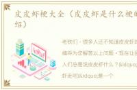皮皮虾梗大全（皮皮虾是什么梗的简单介绍）