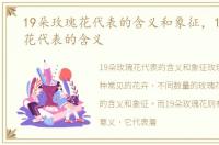 19朵玫瑰花代表的含义和象征，19朵玫瑰花代表的含义