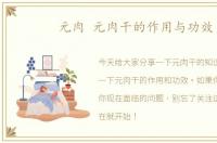 元肉 元肉干的作用与功效